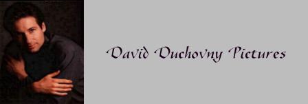 [David Duchovny Pictures]